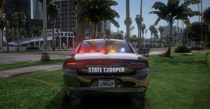 2020 Dodge Charger Slicktop