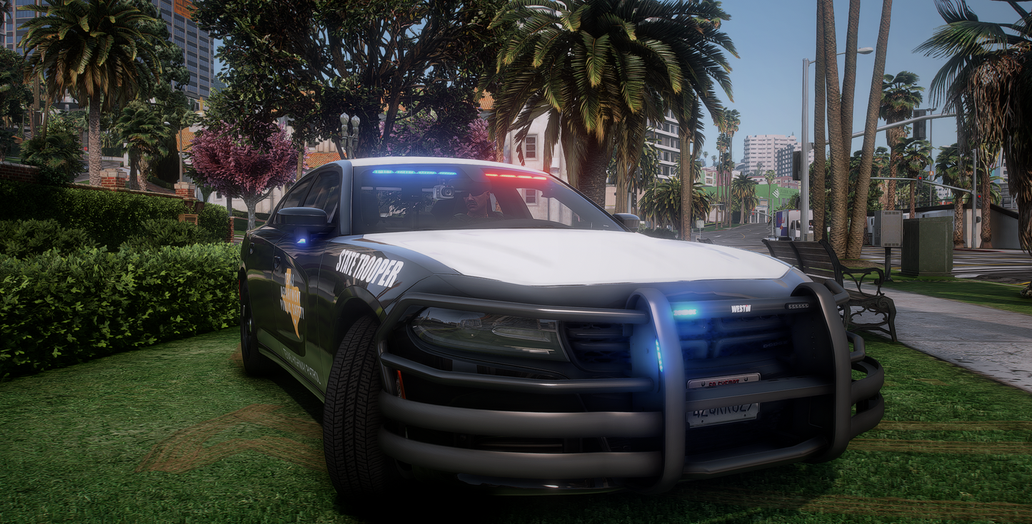 2020 Dodge Charger Slicktop