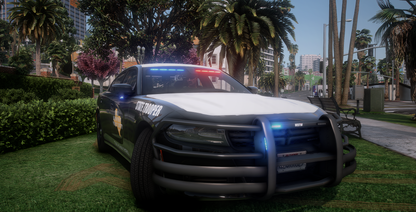 2020 Dodge Charger Slicktop