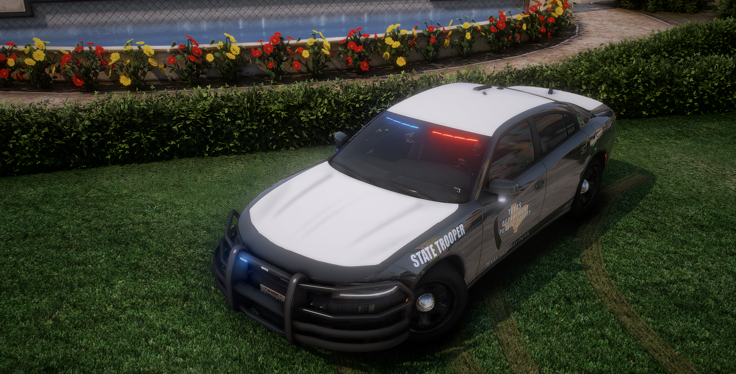 2020 Dodge Charger Slicktop