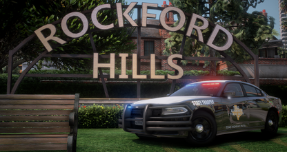 2020 Dodge Charger Slicktop