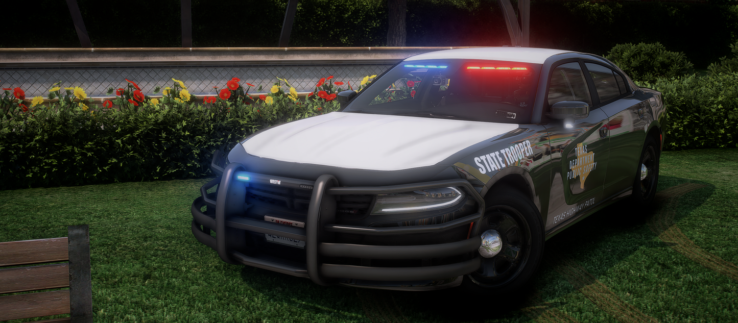 2020 Dodge Charger Slicktop