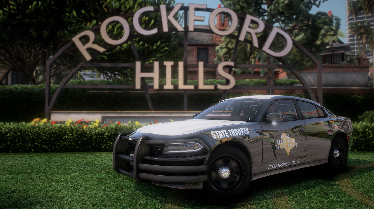 2020 Dodge Charger Slicktop